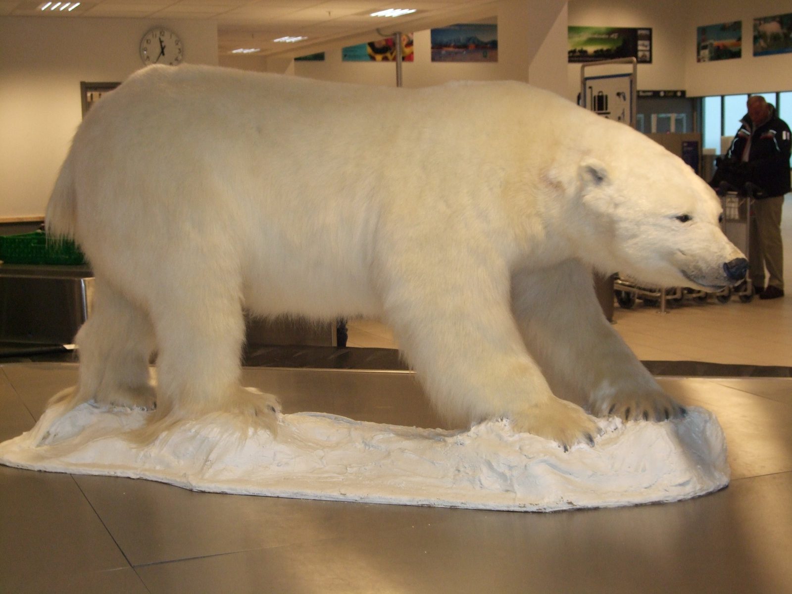 Svalbard