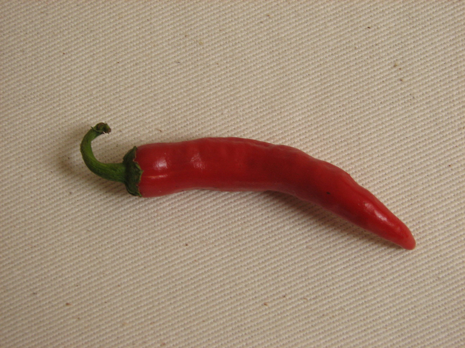 Guindilla Roja oder Thai Hot