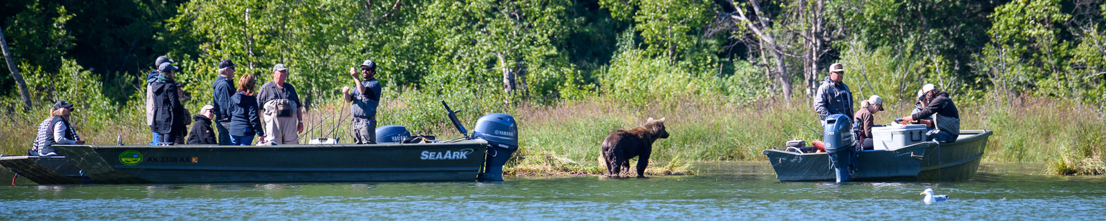 Talkeetna Flug