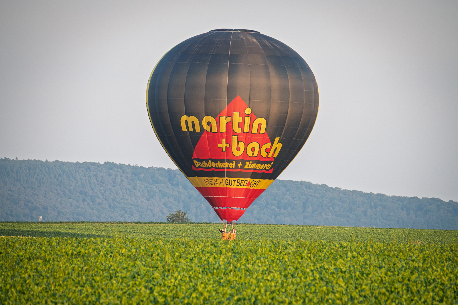 Heissluftballon im Feld