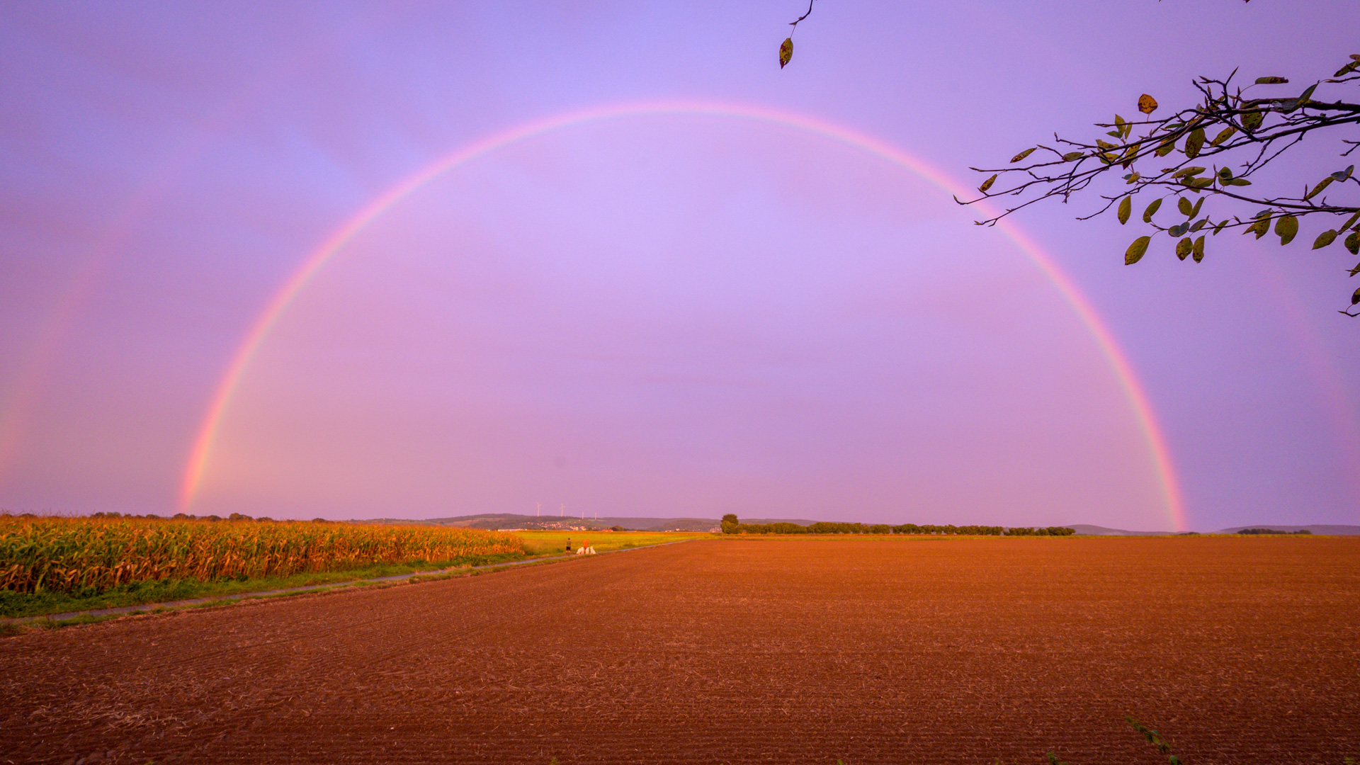 Doppelter Regenbogen