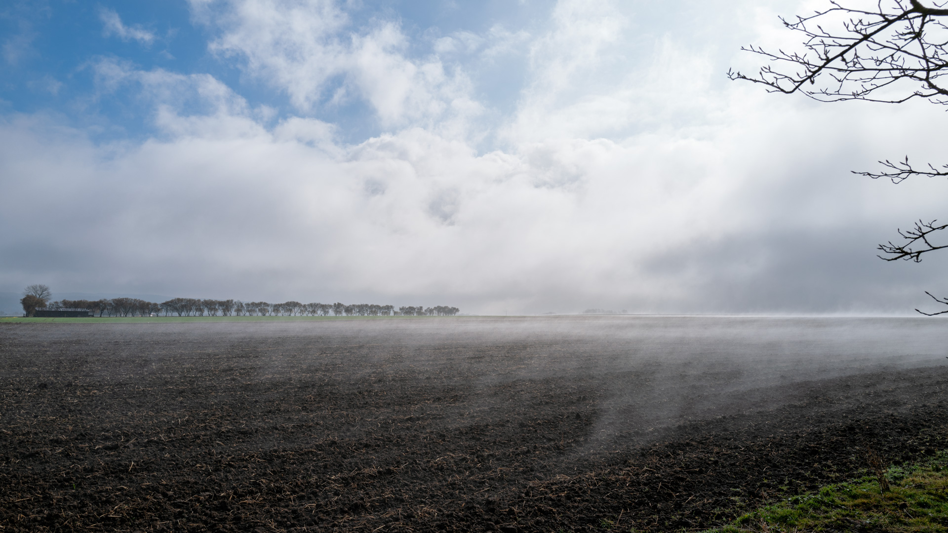 Dampfendes Feld