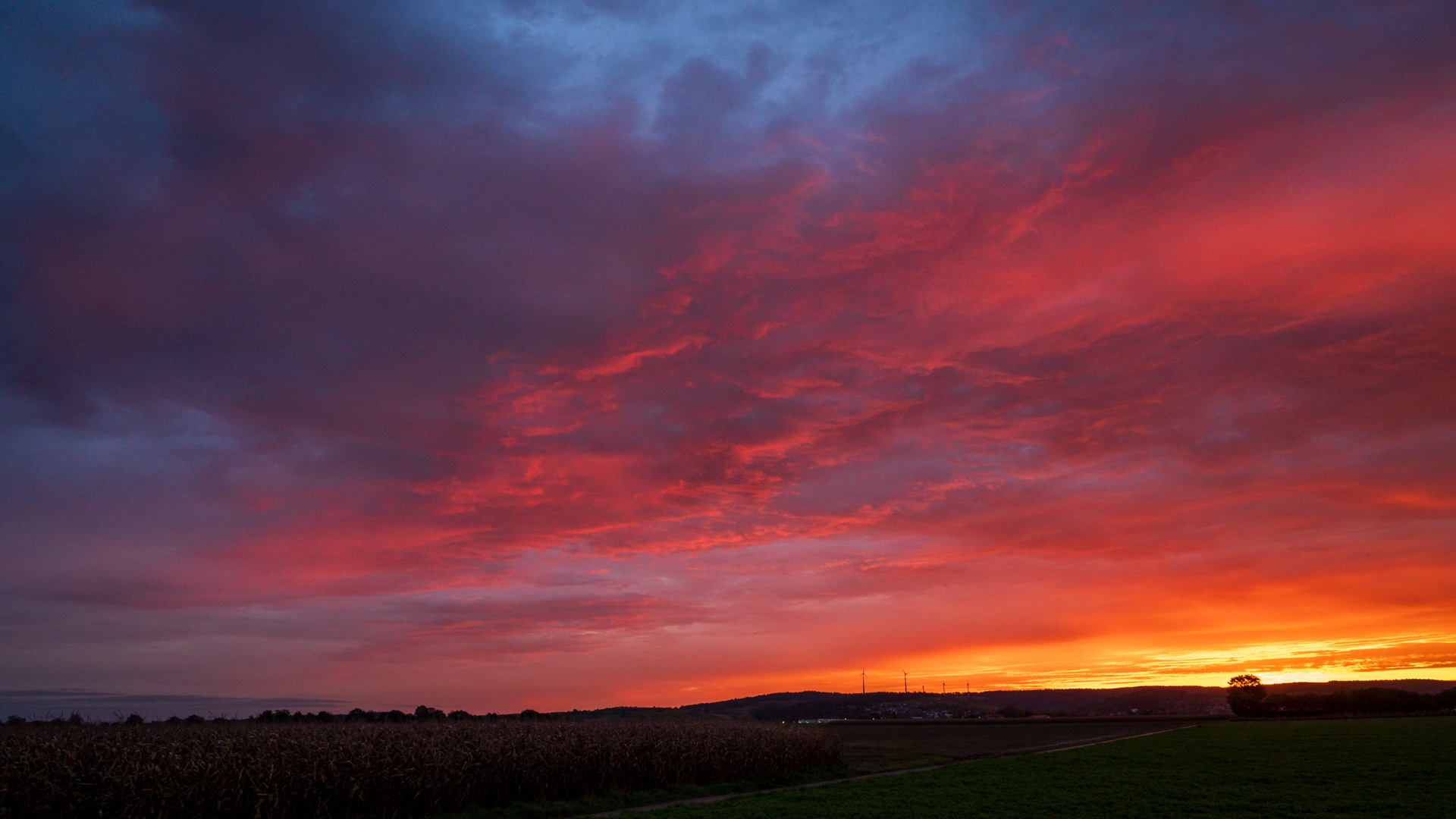 Morgenrot