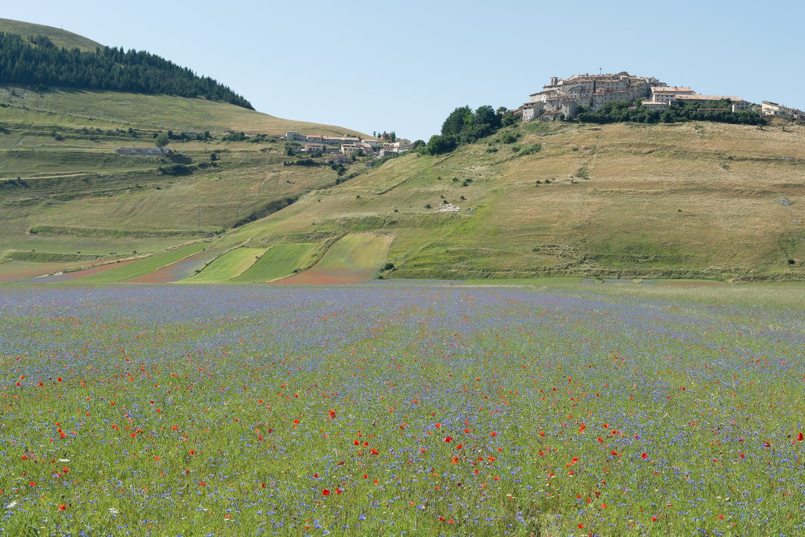 Castellucchio