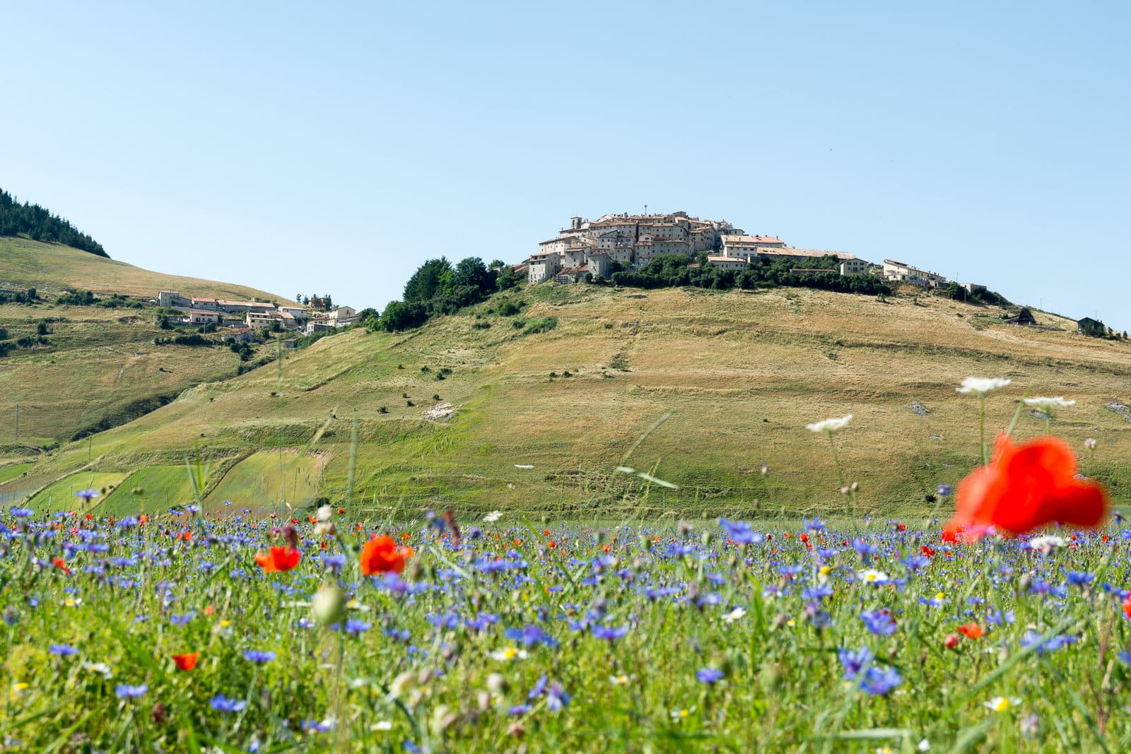 Castellucchio